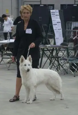 Dogshow Goes 15 mei 2011 Enjoy