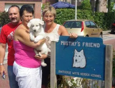 Misthy's Friends Engel Misthy's Friends Engel