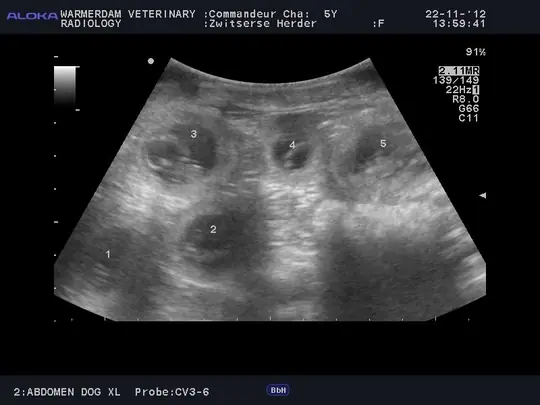 Echo Char Merel 11 november 2012-1