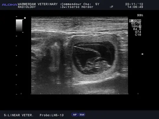 Echo Char Merel 11 november 2012-4