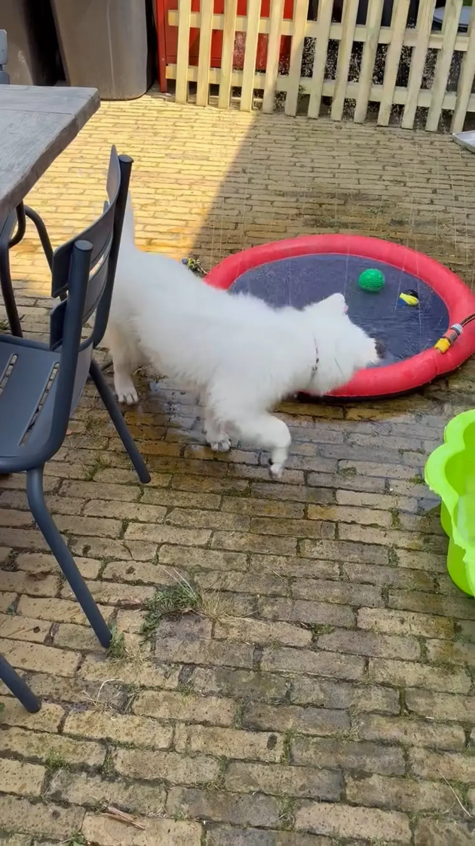 Voorbeeldbeeld: Video: Misthy's Friends Vera Lola