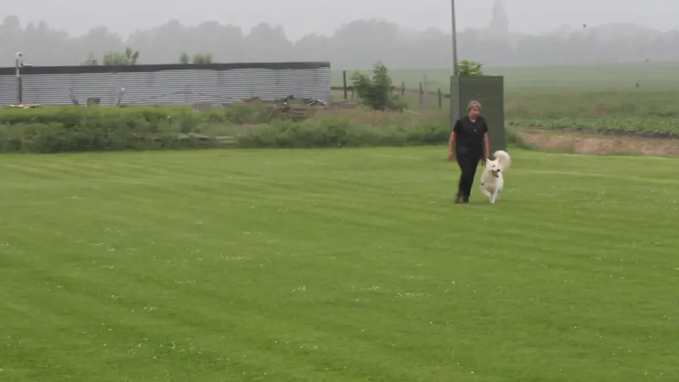 Voorbeeldbeeld: Video VZH examen Easy 4 juni 2016