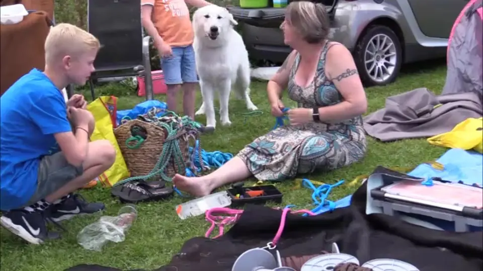 Voorbeeldbeeld: 2 september 2018 Misthy's Friends kenneldag Bij Best Mate te Voorhout. Een kleine indruk over de dag. Film gemaakt door Jos Witteman.