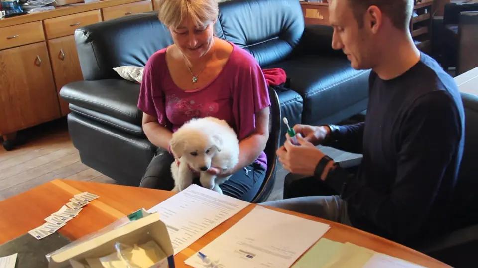 Voorbeeldbeeld: Video: Bezoek Chipper - M Nest 23 december 2015