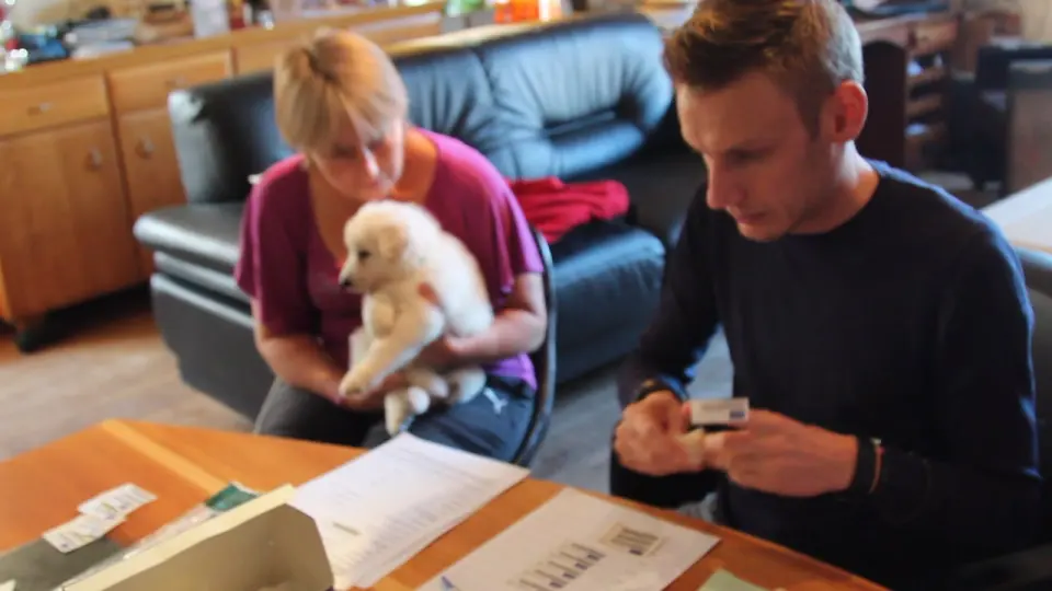 Voorbeeldbeeld: Video: Bezoek Chipper - M Nest 23 december 2015