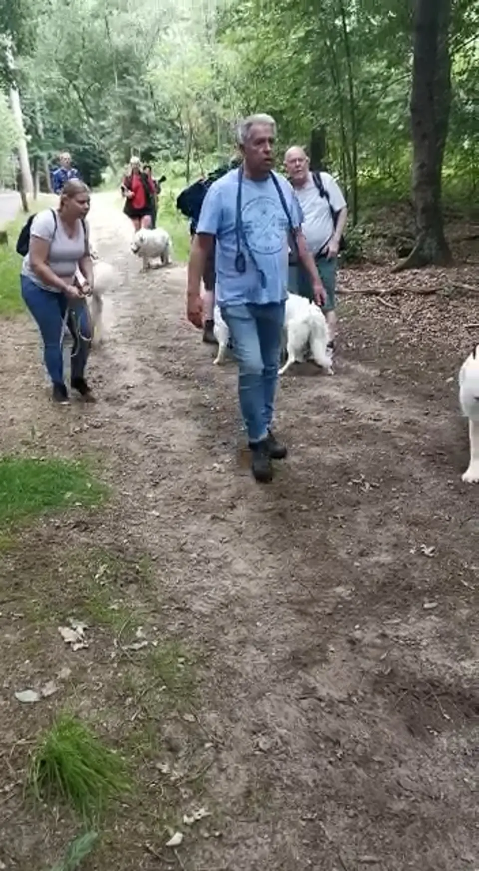 Voorbeeldbeeld: Video: 2022 Misthy's Friends Wandeling op 9 july