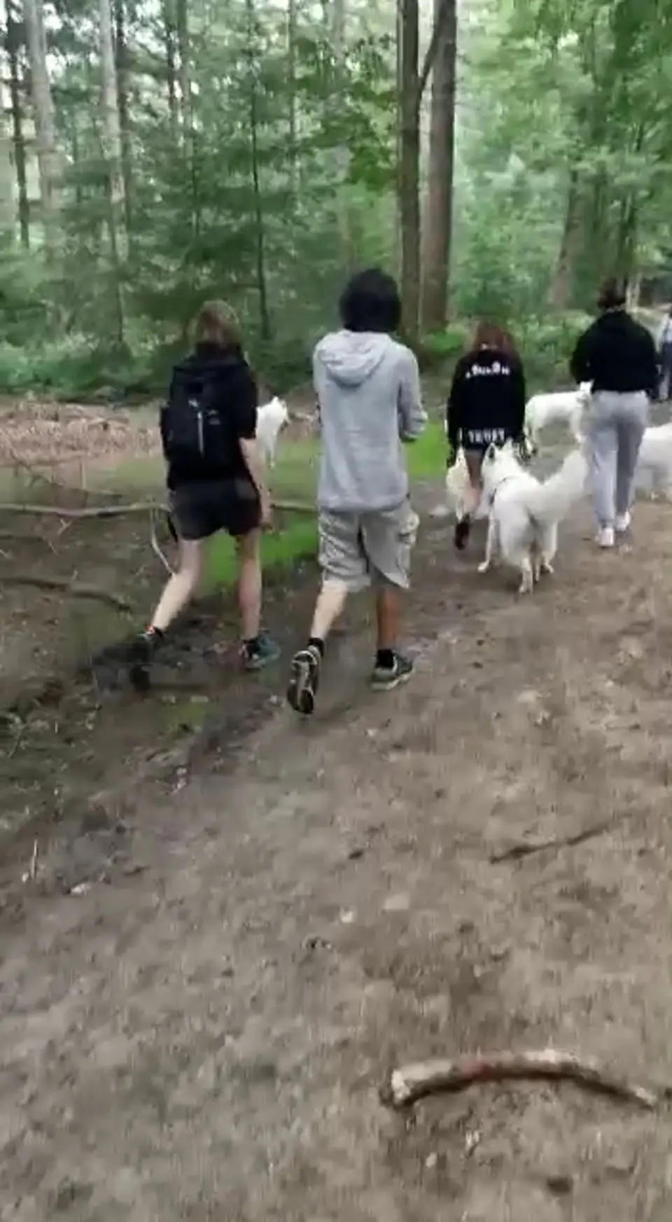 Voorbeeldbeeld: Video: 2022 Misthy's Friends Wandeling op 9 july