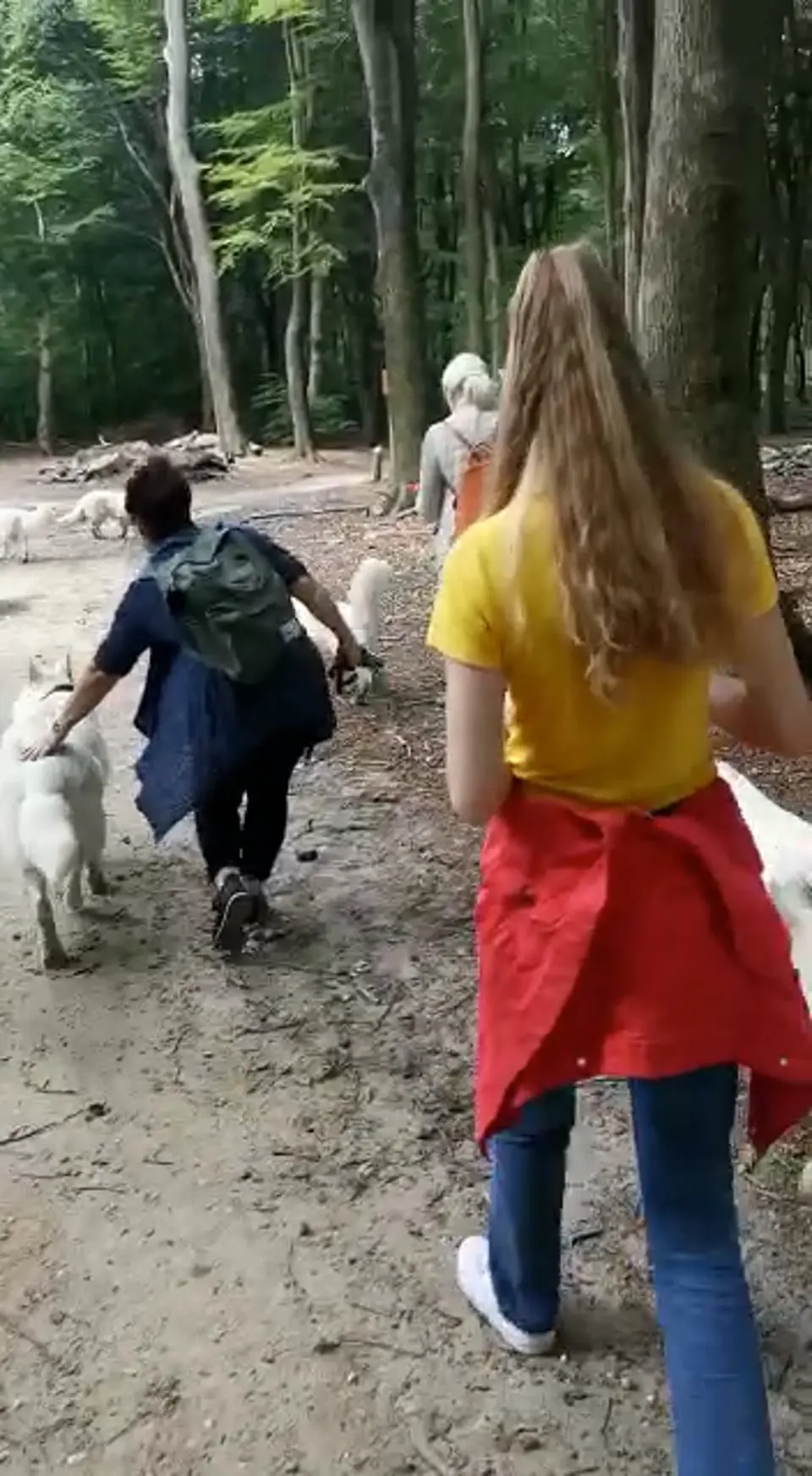 Voorbeeldbeeld: Video: 2022 Misthy's Friends Wandeling op 9 july