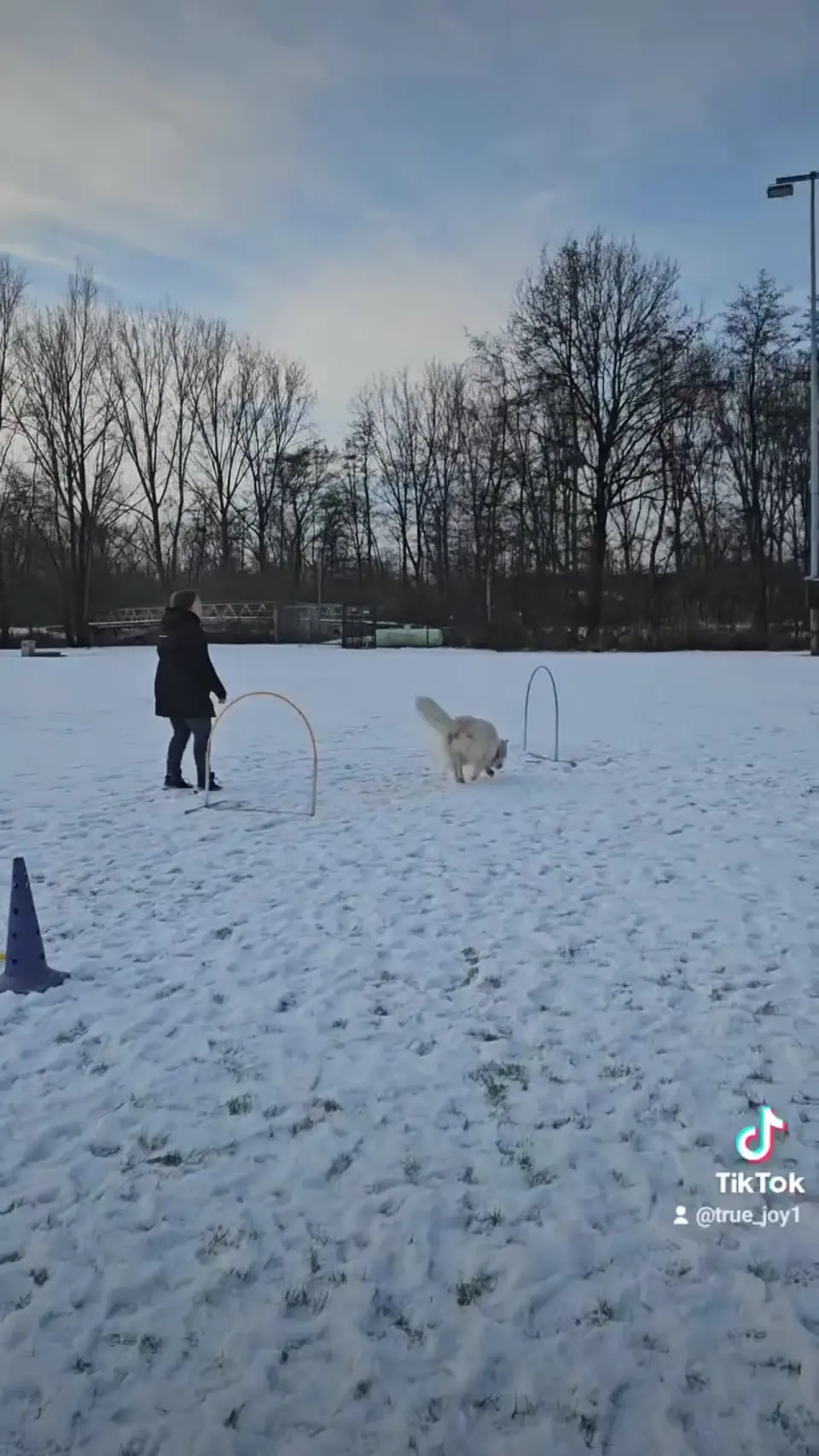 Voorbeeldbeeld: Video: Misthy's Friends True Joy