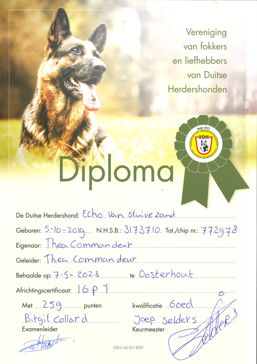 IGP1 Diploma Echo