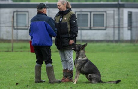 IGP II Examamen Echo start