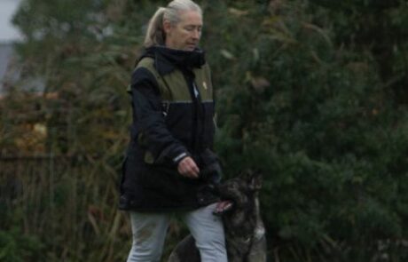 IGP II Examen Echo volgen