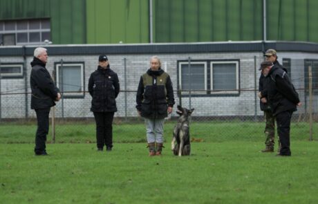 IGP II Examen Echo Groepje