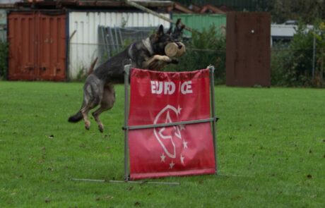 IGP II Examen Echo en terug