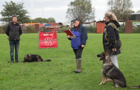 IGP II Examen Echo Uitslag