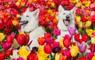 Lana en Mika Barn 2024