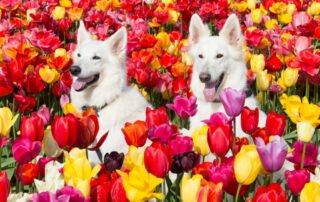 Lana en Mika Barn 2024