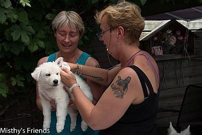 1 juli 2015 Zwitserse witte herder L nest Dierenarts bezoek pup Lovely Lana