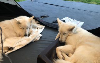 Lana en Mika augustus 2021