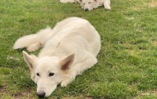 Lana en Mika augustus 2021