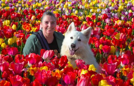 Solar bij the Tulip Barn
